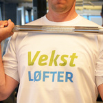 Vekst 2020